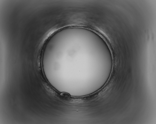 X0000088471455200705220930