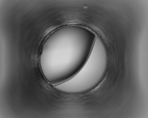 X0000088471457200705220930