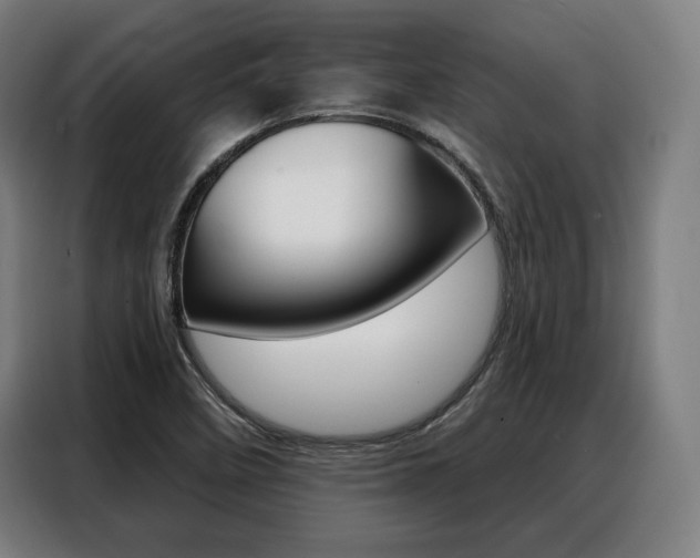 X0000088471458200705220930