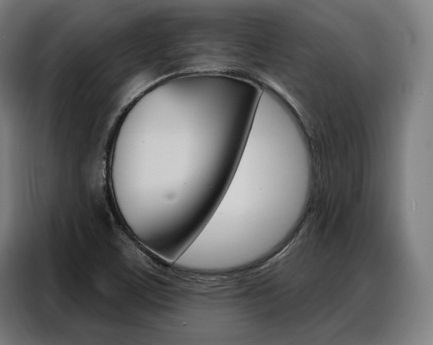 X0000088471459200705220930