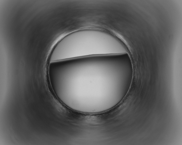 X0000088471463200705220930