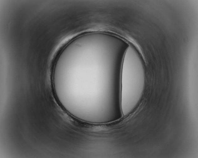 X0000088471464200705220930