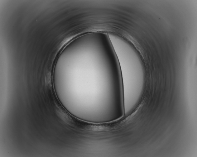X0000088471465200705220930