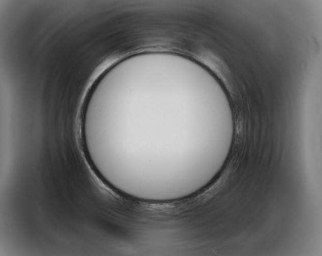 X0000088471466200705220930