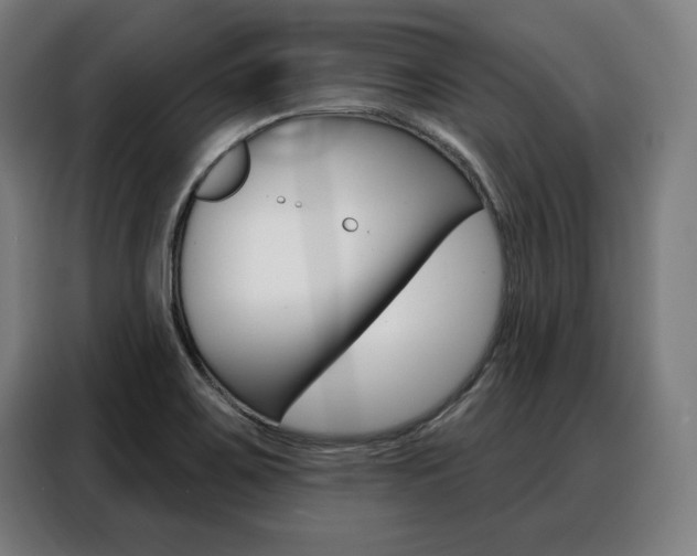 X0000088471467200705220930