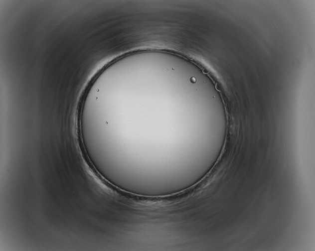 X0000088471468200705220930
