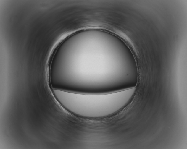 X0000088471472200705220930