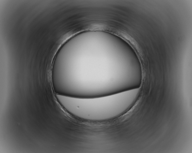 X0000088471473200705220930