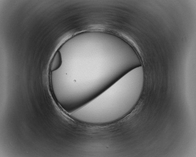 X0000088471475200705220930