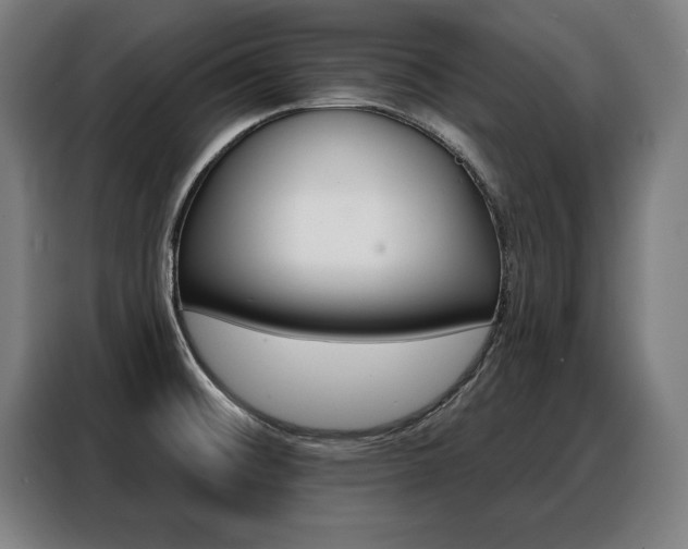 X0000088471476200705220930