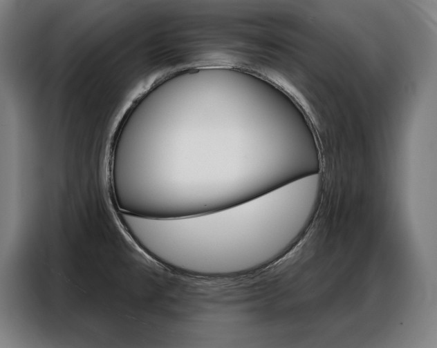X0000088471477200705220930