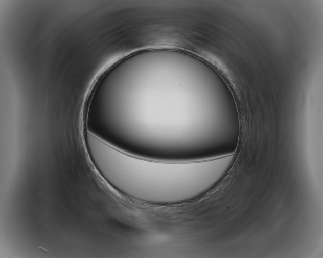 X0000088471480200705220930