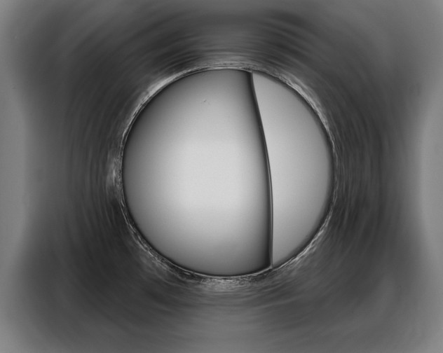 X0000088471481200705220930