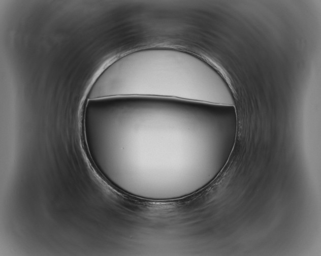 X0000088471483200705220930