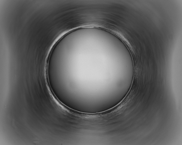 X0000088471484200705220930