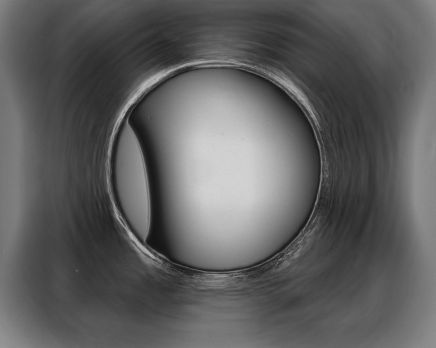 X0000088471485200705220930