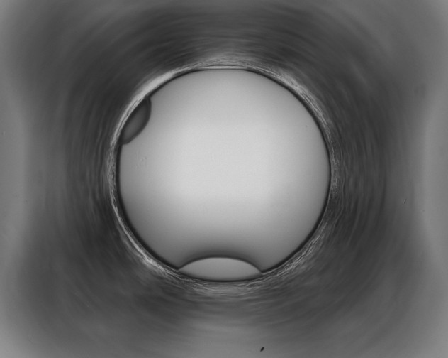X0000088471486200705220930