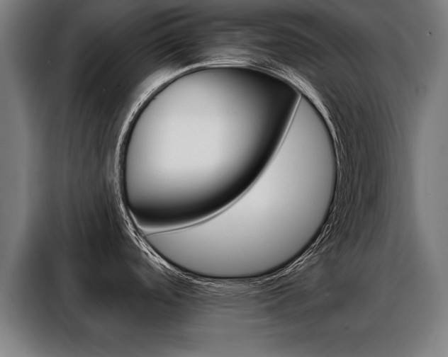 X0000088471488200705220930