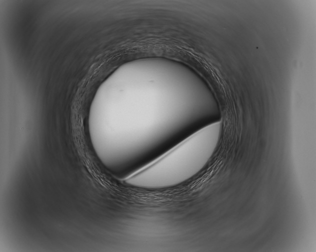 X0000088471489200705220929