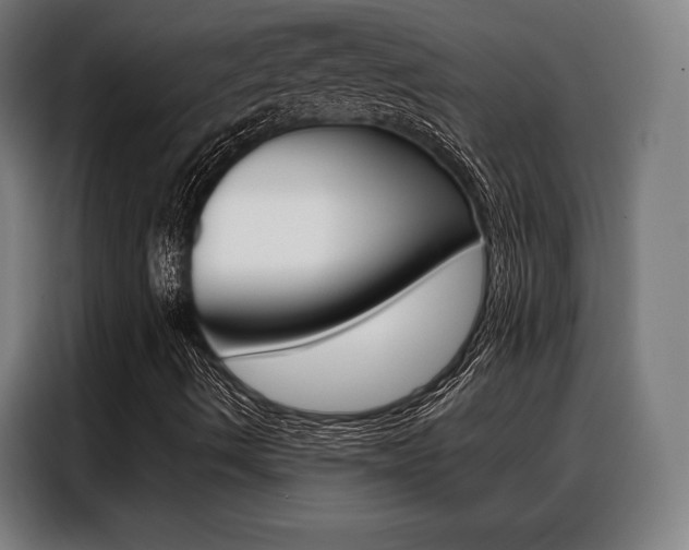 X0000088471490200705220929