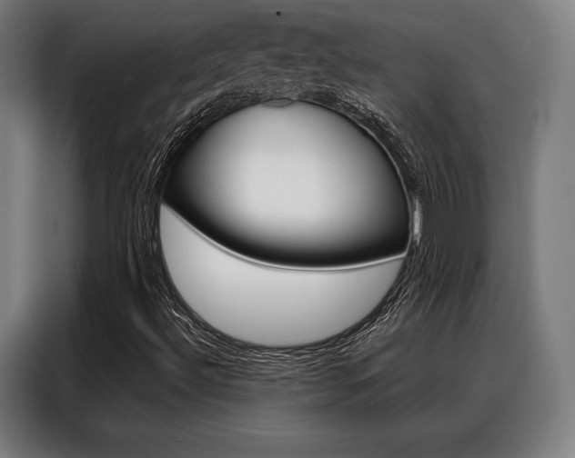 X0000088471492200705220929