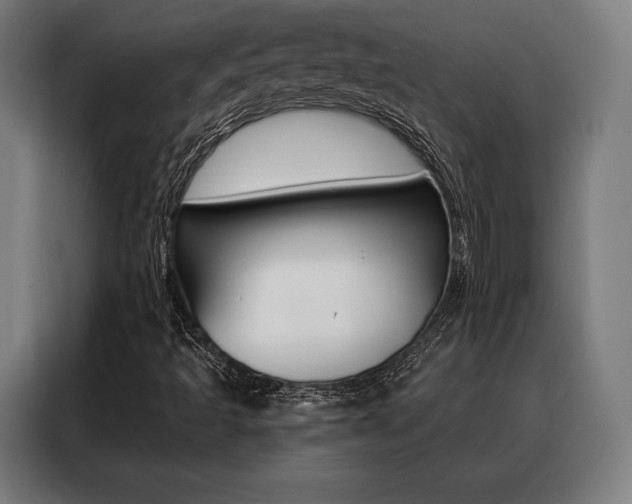 X0000088471493200705220929