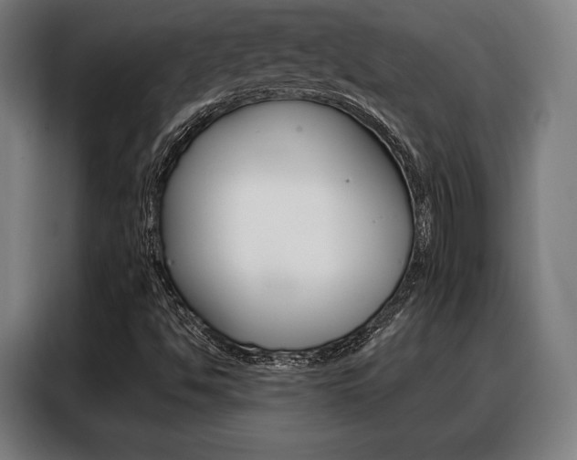 X0000088471494200705220929