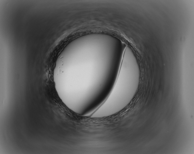 X0000088471495200705220929