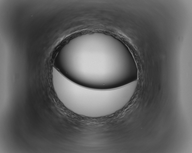 X0000088471496200705220929