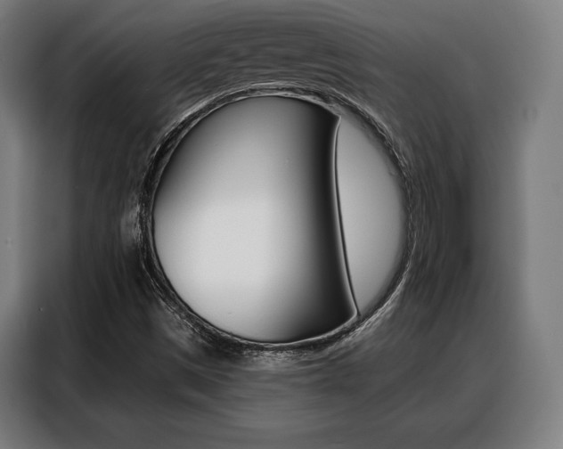 X0000088471497200705220929