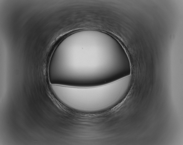 X0000088471499200705220929