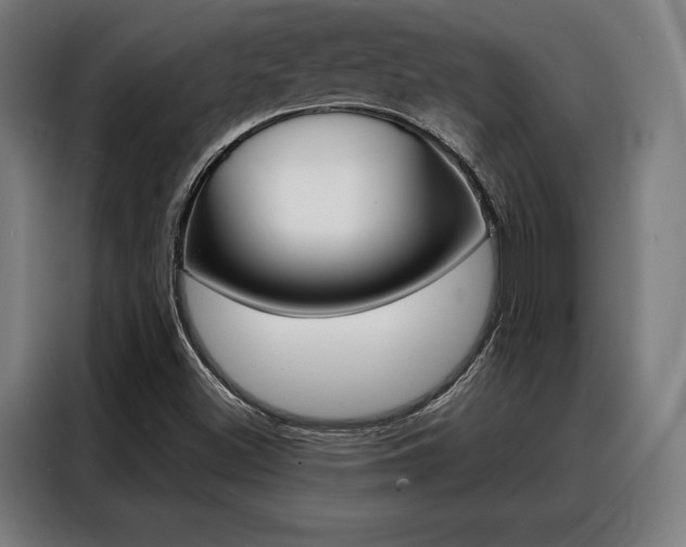 X0000088471500200705220929