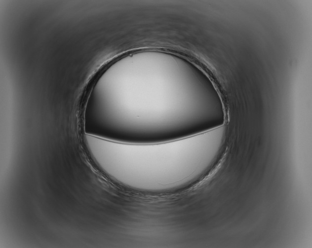 X0000088471501200705220929