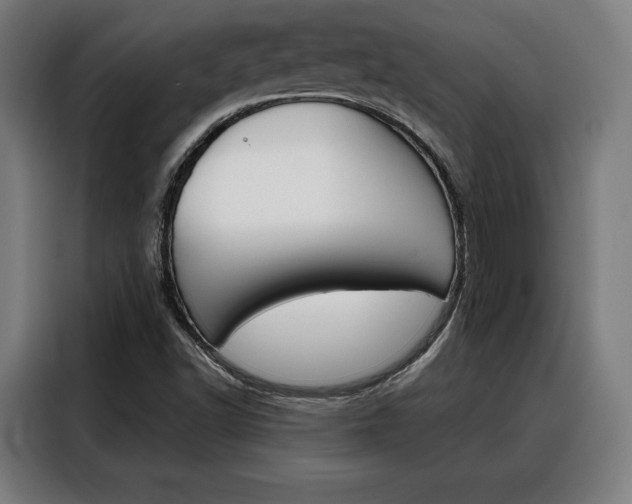 X0000088471502200705220929