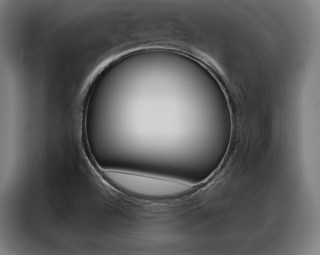 X0000088471504200705220929