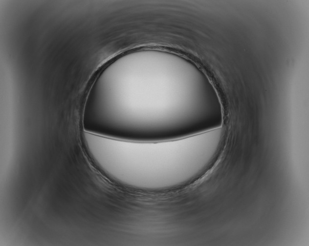 X0000088471505200705220929