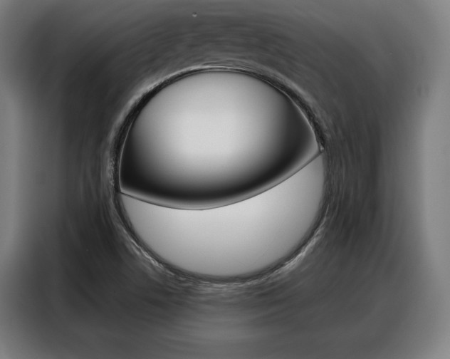 X0000088471506200705220929