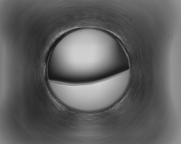 X0000088471507200705220929
