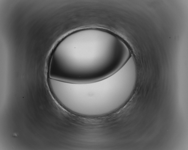 X0000088471508200705220929