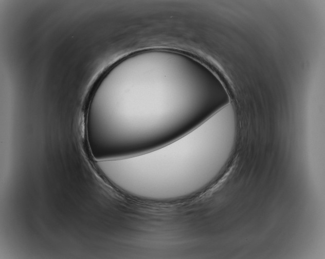 X0000088471509200705220929