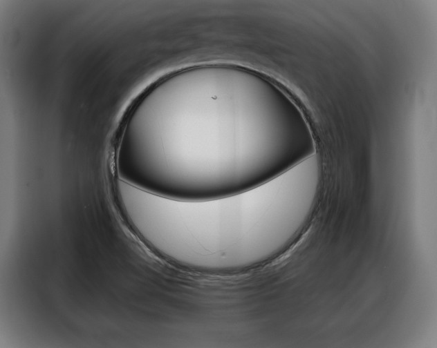 X0000088471510200705220929