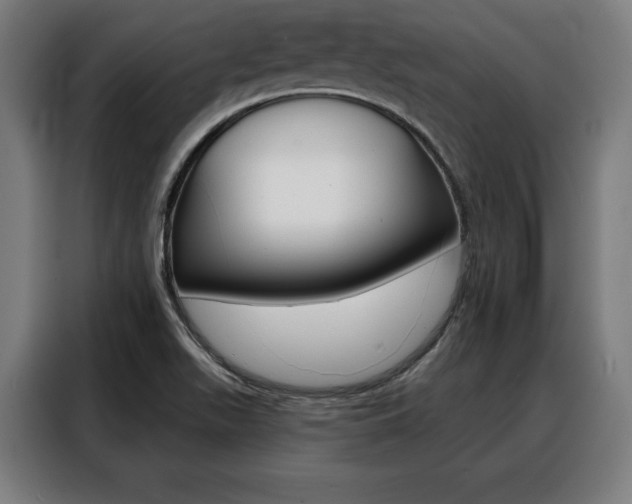X0000088471511200705220929