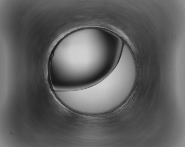 X0000088471512200705220929