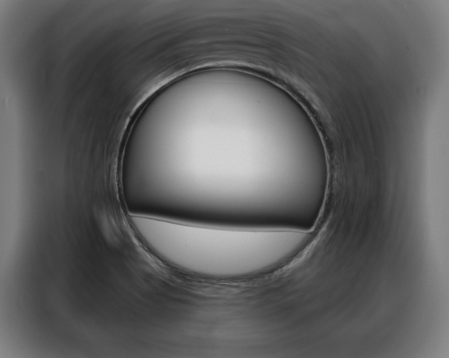 X0000088471513200705220929