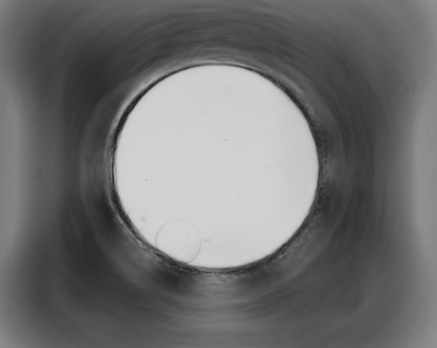 X0000088471514200705220929