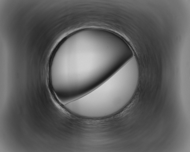 X0000088471515200705220929