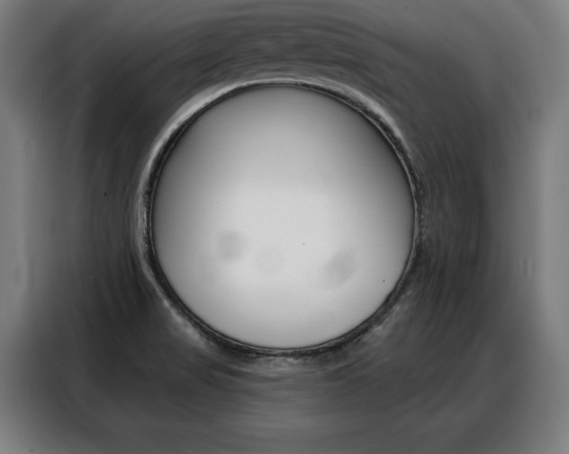 X0000088471517200705220929