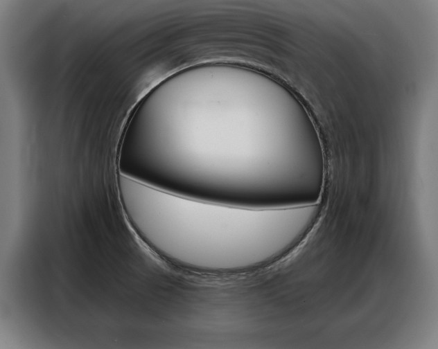 X0000088471521200705220929
