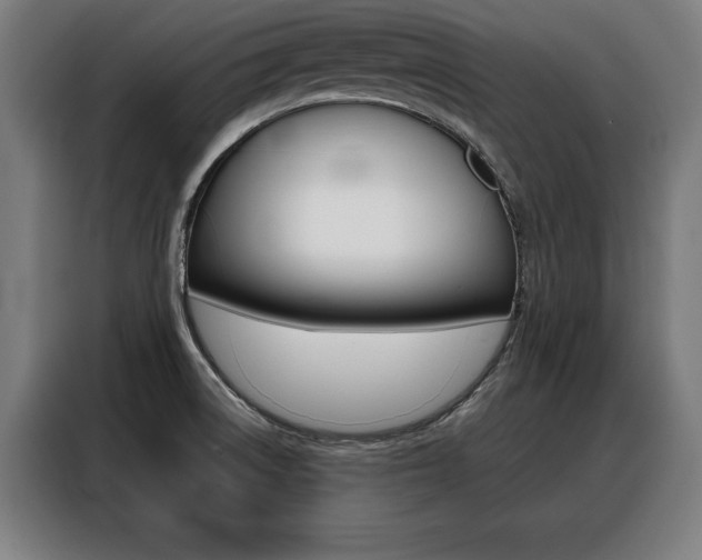X0000088471522200705220929