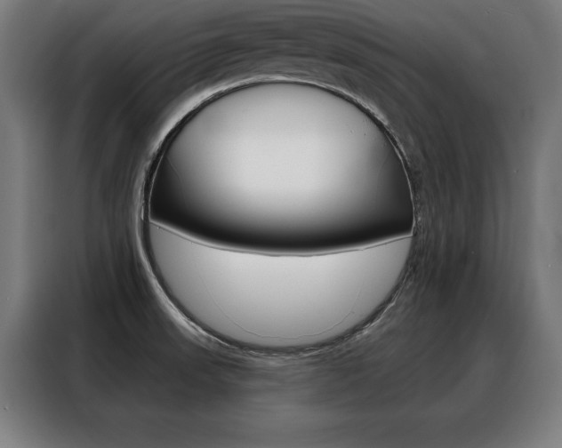 X0000088471523200705220930